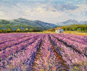 Christof Vevers (1962) - Les Champs de Lavande - Valensole ~