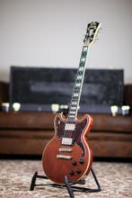 DAngelico Deluxe Brighton 2024 | Matte Walnut, Nieuw