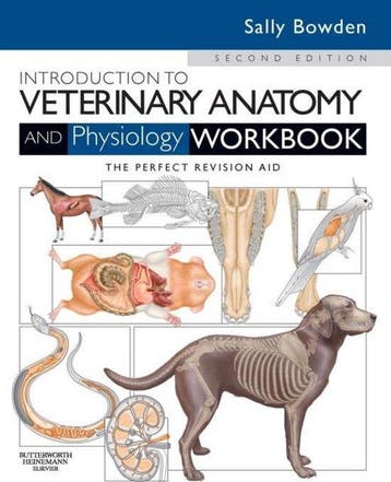 9780702052323 Intro To Veterinary Anatomy  Physiology, Boeken, Verzenden, Nieuw, Sally Bowden