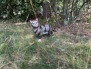 Sculptuuur voor buiten, Cat - Iron Art - Handpainted - 30 cm