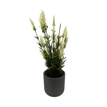 Green Bubble - Kunstplant Lavendel Wit - 35 cm - Ø10 cm, Ophalen of Verzenden, Nieuw, Binnen