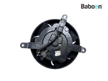 Koelfan Motor Honda CBR 900 RR Fireblade 2002-2003 (CBR900RR, Verzenden, Gebruikt