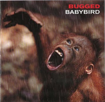 cd - Babybird - Bugged, Cd's en Dvd's, Verzenden, Zo goed als nieuw