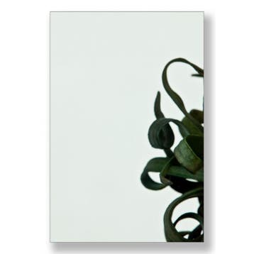 Enkel glas Groen 10 mm, Ophalen of Verzenden, Nieuw