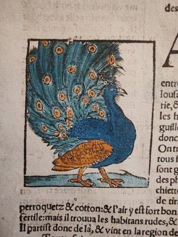 Sebastian Münster (1489–1552) - Cosmographie Universelle -