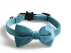 Kattenhalsband met strik Blauw Velvet (Halsband Set), Ophalen of Verzenden, Nieuw