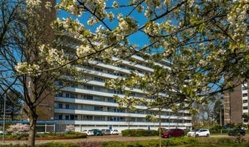 Te Huur 3 Kamer Appartement Honthorstlaan In Alkmaar, Alkmaar, Direct bij eigenaar, Noord-Holland, Appartement