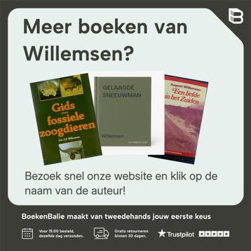 Braziliaanse brieven 9789070038793 Willemsen, Boeken, Verzenden, Gelezen, Willemsen