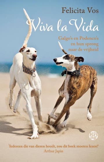 Viva La Vida | Felicita Vos | Nieuw, Boeken, Ophalen of Verzenden, Nieuw, Felicita Vos