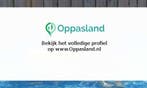 Jessye zoekt een oppas in Haarlem voor 2 kinderen op vrij..., Vacatures