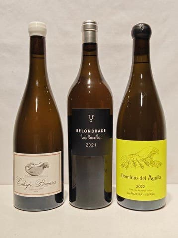 2021 Bodega Belondrade, Les Parcelles, 2022 Dominio del, Nieuw