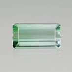 1 pcs Groen Toermalijn - 12.78 ct - nternational Colored, Nieuw