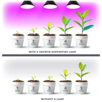 Kobi LED Grow Bulb Planty W 9W E27 - Witte Kweeklamp met..., Ophalen of Verzenden, Nieuw