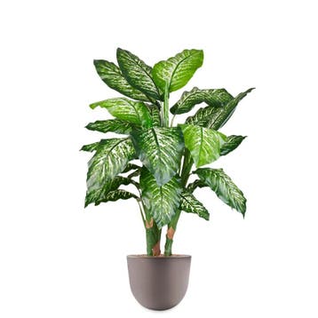 Dieffenbachia kunstplant, H115cm, Huis en Inrichting, Kamerplanten, Ophalen of Verzenden, Overige soorten, 100 tot 150 cm