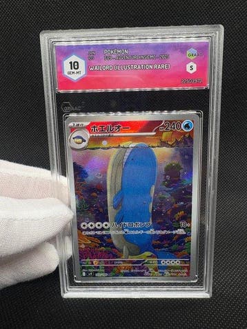 Pokémon - 1 Graded card - Wailord 103/100 Full art, Foil,, Hobby en Vrije tijd, Verzamelkaartspellen | Pokémon, Nieuw