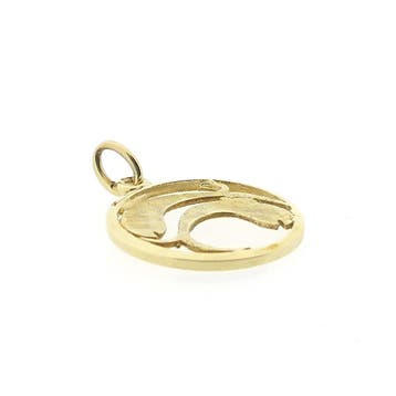 Gouden sterrenbeeld hanger; Vissen (Hanger of bedel), Ophalen of Verzenden, Gebruikt, Goud, Overige merken