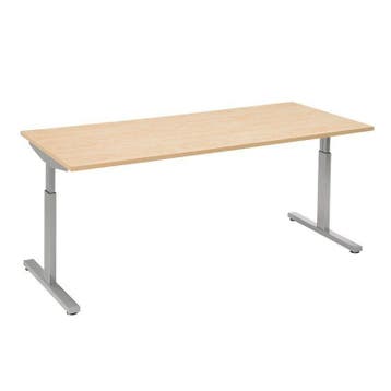 Recht T-poot bureau, 200 x 80 cm, Overige plaatsen, Ophalen of Verzenden, Nieuw in verpakking, Bureau
