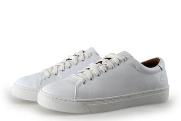 Timberland Sneakers in maat 42 Wit, Kleding | Heren, Schoenen, Verzenden, Sneakers of Gympen, Gedragen, Wit