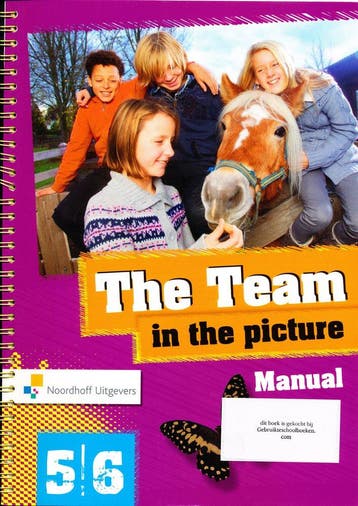 The Team versie 2 in the picture Handleiding groep 5/6, Verzenden, Nieuw