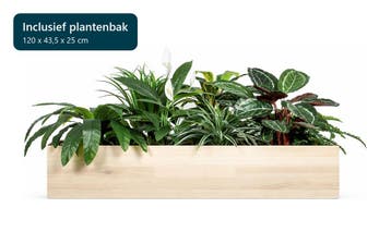 Kunstplantenpakket Enkhuizen met plantenbak, 120 cm, Huis en Inrichting, Ophalen of Verzenden, Overige soorten, 100 tot 150 cm
