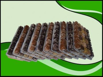 Quintet 10x100 gram diepvriesvoer (Visvoeding), Verzenden, Nieuw