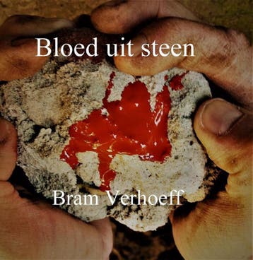 Bloed uit Steen - Bram Verhoeff 9789492719201, Verzenden, Gelezen, Bram Verhoeff