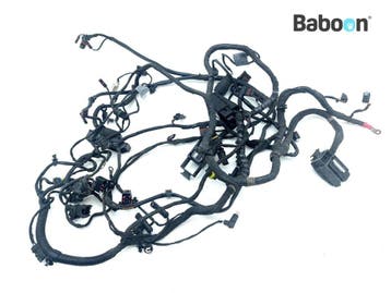 Kabelboom BMW F 800 GS 2008-2012 (F800GS 08) (7705424), Verzenden, Gebruikt