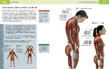 Anatomie van rek- en strekoefeningen 9789089984722, Verzenden, Zo goed als nieuw, Ken Ashwell