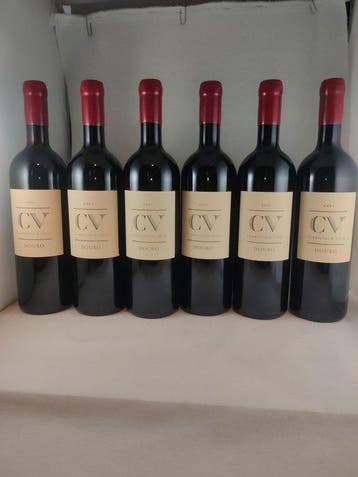 2021 Van Zellers & Co. , CV Curriculum Vitae - Douro - 6, Nieuw