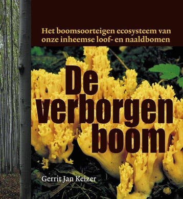 9789077408988 De verborgen boom Gerrit Jan Keizer, Verzenden, Nieuw, Gerrit Jan Keizer