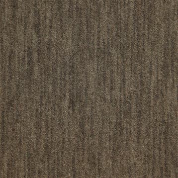 SALE!! - Tapijttegel Winchester  Bruin, Ophalen of Verzenden, Nieuw