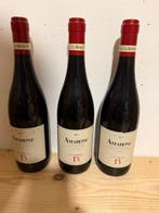 2013 Ca La Bionda - Amarone della Valpolicella - 3 Flessen, Nieuw