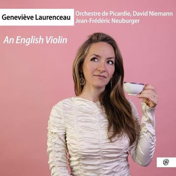 cd - orchestre de picardie david niemann - AN ENGLISH VIO..., Verzenden, Zo goed als nieuw