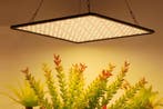 LED Groeipaneel | 35W | Full-Spectrum, Tuin en Terras, Ophalen of Verzenden, Nieuw