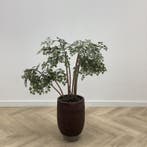 Stenen plantenbak met kunstplant,  108 cm, Huis en Inrichting, Kamerplanten, Ophalen of Verzenden