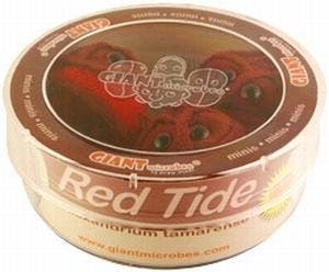 Giant Microbes Petri schaal Red tide (Rode vloed alg), Nieuw