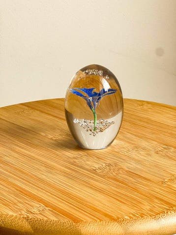 Daum - Daum France - Presse-papier - HC 9535 Bleuet 02113 -, Antiek en Kunst