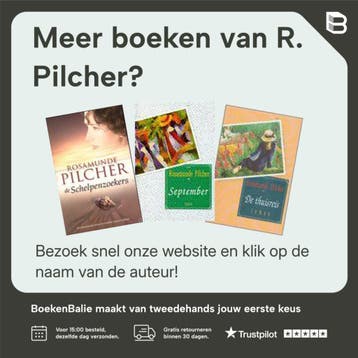 Spiegelbeeld - R. Pilcher 9789041003904, Verzenden, Gelezen, R. Pilcher