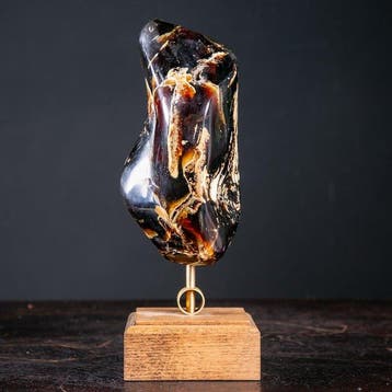 Fossiel barnsteenexemplaar uit Sumatra - Zeldzaam exemplaar
