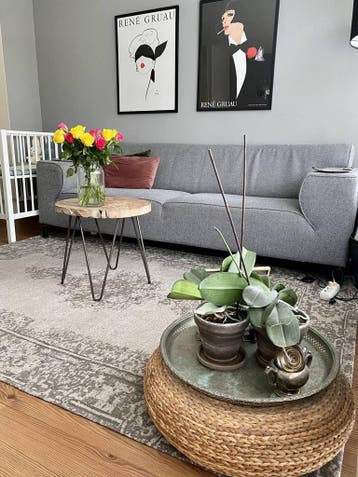 Te huur: Appartement Prinses Ireneplateau in Utrecht, Utrecht, Appartement, Utrecht