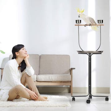 Papegaaien standaard 130cm | Retourdeal 24% Korting, Dieren en Toebehoren, Ophalen of Verzenden, Zo goed als nieuw, Kooi-accessoires