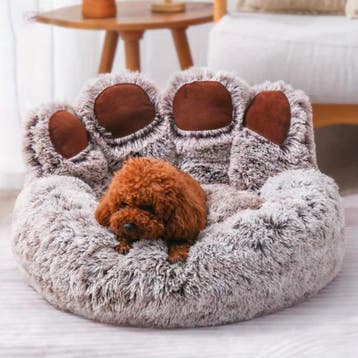 Beer Poot Huisdierbed | Hondenmand en Kattenmand | Nieuw, Dieren en Toebehoren, Verzenden, Nieuw