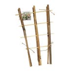 Klimrek planten | Nature | 35 x 18 cm | 2 stuks (Bamboe), Tuin en Terras, Planten | Tuinplanten, Verzenden