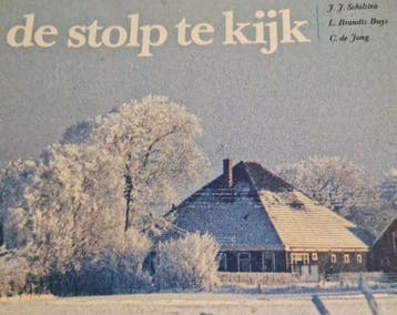 Stolp te kyk - Schilstra 9789071123146, Verzenden, Gelezen, Schilstra