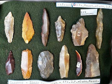 Aterien en Ibero-maurusien Collectie Prehistorische, Verzamelen, Mineralen en Fossielen