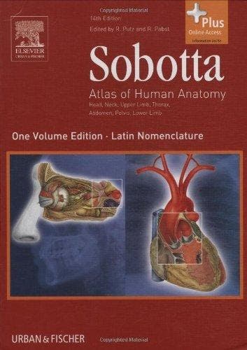 Sobotta - Atlas Of Human Anatomy - Reinhard Putz, Verzenden, Gelezen, Reinhard Putz