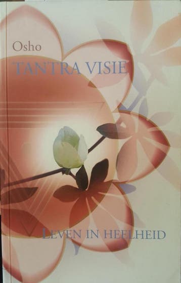 TANTRA VISIE PAP 2DR - Osho 9789071985706, Boeken, Verzenden, Gelezen, Osho