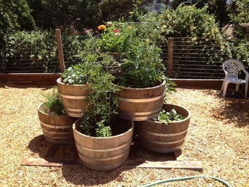 Houten Kuipen | Bloembakken | voor Olijfboom | Fruitboom, Ophalen of Verzenden, Nieuw, Rond, Balkon