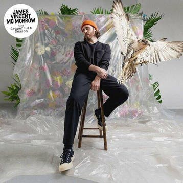 JAMES VINCENT MC MORROW - GRAPEFRUIT SEASON (LP), Verzenden, Nieuw in verpakking
