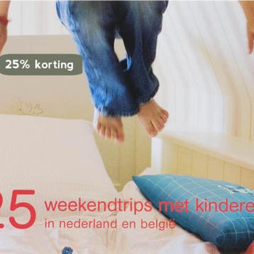 25 Weekendtrips Met Kinderen - N. van der Ploeg, Verzenden, Zo goed als nieuw, N. van der Ploeg